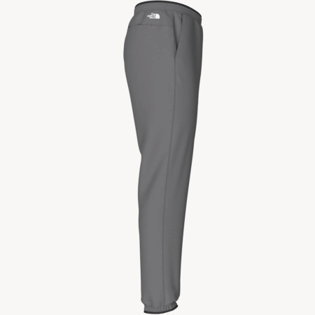 Брюки TNF Wander Jogger 2.0 (Мужской; S; SmokedPearl)